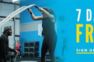 Winter Ready: Burn Boot Camp Winter Garden Workouts | The Ultimate Gardening Guide: Grow a Thriving Garden Year-Round