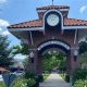 Latest News from Winter Garden FL Today | The Ultimate Gardening Guide: Grow a Thriving Garden Year-Round