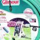 Best Garden Hose Gilmour: Reviews & Buying Guide | The Ultimate Gardening Guide: Grow a Thriving Garden Year-Round