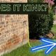 Buy Best Kink-Free Garden Hose: No More Kinks! | The Ultimate Gardening Guide: Grow a Thriving Garden Year-Round