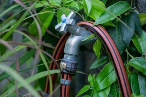 Top-Rated: Best Soaker Hose for Garden Use + Guide The Ultimate Gardening Guide: Grow a Thriving Garden Year-Round Top-Rated: Best Soaker Hose for Garden Use + Guide | The Ultimate Gardening Guide: Grow a Thriving Garden Year-Round