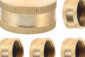 Best Garden Hose Cap Solutions: Find Yours Now! | The Ultimate Gardening Guide: Grow a Thriving Garden Year-Round