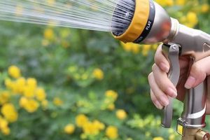 Get Powerful: Power Washer Attach to Garden Hose [Guide] | The Ultimate Gardening Guide: Grow a Thriving Garden Year-Round