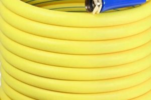 Best 5/8 Inch Garden Hose: Your Ultimate Watering Guide! | The Ultimate Gardening Guide: Grow a Thriving Garden Year-Round