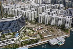 Living in Whampoa Garden, Hung Hom: A Complete Guide The Ultimate Gardening Guide: Grow a Thriving Garden Year-Round Living in Whampoa Garden, Hung Hom: A Complete Guide | The Ultimate Gardening Guide: Grow a Thriving Garden Year-Round