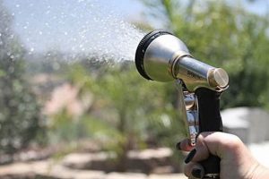 Best Cordless Garden Hose Systems: Buyer's Guide & Reviews | The Ultimate Gardening Guide: Grow a Thriving Garden Year-Round