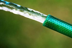 Maximize Your Flow: GPM Garden Hose Guide [Tips] | The Ultimate Gardening Guide: Grow a Thriving Garden Year-Round