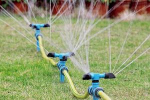 Best Garden Hose for Sprinkler: System Hoses & More | The Ultimate Gardening Guide: Grow a Thriving Garden Year-Round
