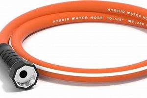 Essential Garden Hose Lead In Guide + Tips | The Ultimate Gardening Guide: Grow a Thriving Garden Year-Round