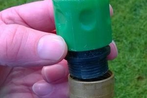 Best Adapter for Garden Hose: Uses & Buying Guide The Ultimate Gardening Guide: Grow a Thriving Garden Year-Round Best Adapter for Garden Hose: Uses & Buying Guide | The Ultimate Gardening Guide: Grow a Thriving Garden Year-Round