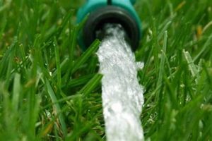 Boost Garden Hose Flow Rate: Tips & Tricks The Ultimate Gardening Guide: Grow a Thriving Garden Year-Round Boost Garden Hose Flow Rate: Tips & Tricks | The Ultimate Gardening Guide: Grow a Thriving Garden Year-Round