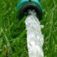 Boost Garden Hose Flow Rate: Tips & Tricks | The Ultimate Gardening Guide: Grow a Thriving Garden Year-Round