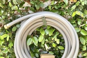 Elevate: The Best Pretty Garden Hose for a Lush Lawn The Ultimate Gardening Guide: Grow a Thriving Garden Year-Round Elevate: The Best Pretty Garden Hose for a Lush Lawn | The Ultimate Gardening Guide: Grow a Thriving Garden Year-Round
