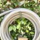 Elevate: The Best Pretty Garden Hose for a Lush Lawn | The Ultimate Gardening Guide: Grow a Thriving Garden Year-Round