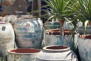 Coastal Pacific Home & Garden: Ideas & Style The Ultimate Gardening Guide: Grow a Thriving Garden Year-Round Coastal Pacific Home & Garden: Ideas & Style | The Ultimate Gardening Guide: Grow a Thriving Garden Year-Round