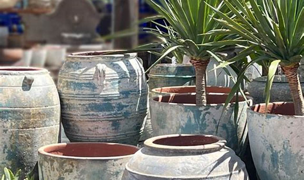 Coastal Pacific Home &amp; Garden: Ideas &amp; Style | The Ultimate Gardening Guide: Grow a Thriving Garden Year-Round