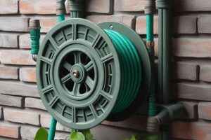 Best Wall Mounted Garden Hose Holder [Guide & Deals] | The Ultimate Gardening Guide: Grow a Thriving Garden Year-Round