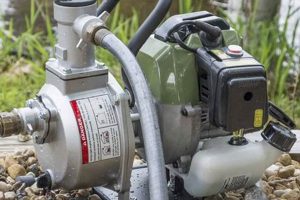 Boost Flow: Garden Hose Pumps for Lush Gardens | The Ultimate Gardening Guide: Grow a Thriving Garden Year-Round