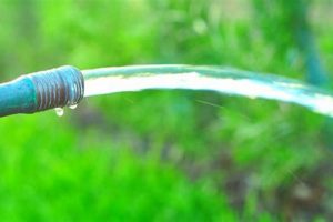 Understanding Garden Hose Water Flow Rate: Tips &amp; Tools | The Ultimate Gardening Guide: Grow a Thriving Garden Year-Round