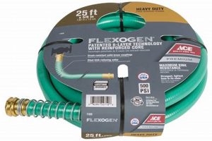 Buy Ace Garden Hoses Online: Quality & Durability | The Ultimate Gardening Guide: Grow a Thriving Garden Year-Round