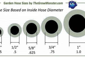 Guide to Garden Hose Measurements: Sizes & More The Ultimate Gardening Guide: Grow a Thriving Garden Year-Round Guide to Garden Hose Measurements: Sizes & More | The Ultimate Gardening Guide: Grow a Thriving Garden Year-Round