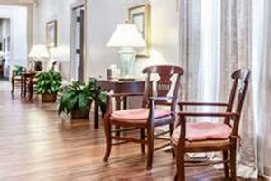 Best Winter Garden Funeral Homes Near You: Planning &amp; Services | The Ultimate Gardening Guide: Grow a Thriving Garden Year-Round