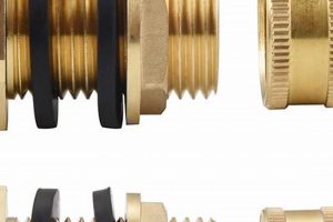 Buy Garden Hose Bulkhead Fitting: Secure Your Hose! The Ultimate Gardening Guide: Grow a Thriving Garden Year-Round Buy Garden Hose Bulkhead Fitting: Secure Your Hose! | The Ultimate Gardening Guide: Grow a Thriving Garden Year-Round