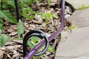 Protect Your Hose: Best Garden Hose Guards Today! | The Ultimate Gardening Guide: Grow a Thriving Garden Year-Round