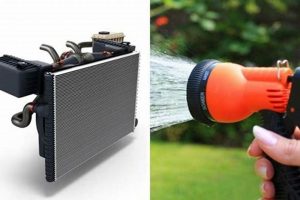 DIY: How to Flush Radiator with a Garden Hose (Easy Guide) | The Ultimate Gardening Guide: Grow a Thriving Garden Year-Round