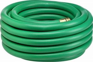 Best 1 Garden Hose: Reviews & Buying Guide Now! The Ultimate Gardening Guide: Grow a Thriving Garden Year-Round Best 1 Garden Hose: Reviews & Buying Guide Now! | The Ultimate Gardening Guide: Grow a Thriving Garden Year-Round