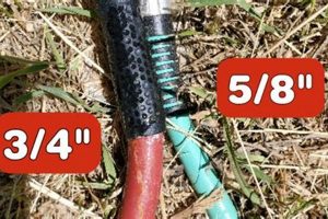 Garden Hose Showdown: 5/8 vs 3/4 Inch - Which Wins? The Ultimate Gardening Guide: Grow a Thriving Garden Year-Round Garden Hose Showdown: 5/8 vs 3/4 Inch - Which Wins? | The Ultimate Gardening Guide: Grow a Thriving Garden Year-Round