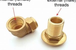 Understanding Garden Hose Thread Type: A Guide for Your Hose! | The Ultimate Gardening Guide: Grow a Thriving Garden Year-Round