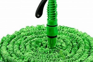 Best 50ft Expanding Garden Hose: Reviews & Deals! | The Ultimate Gardening Guide: Grow a Thriving Garden Year-Round