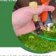 Best Garden Hose Lifetime Warranty: Guide & Reviews | The Ultimate Gardening Guide: Grow a Thriving Garden Year-Round