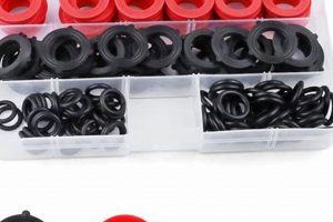 Best Garden Hose O Ring Fix: Stop Leaks Fast! | The Ultimate Gardening Guide: Grow a Thriving Garden Year-Round