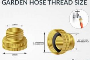 Understanding Garden Hose Thread Size: A Guide for Leak-Free Connections | The Ultimate Gardening Guide: Grow a Thriving Garden Year-Round