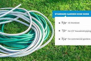 Buy Garden Hose Lengths: Find the Perfect Hose Size The Ultimate Gardening Guide: Grow a Thriving Garden Year-Round Buy Garden Hose Lengths: Find the Perfect Hose Size | The Ultimate Gardening Guide: Grow a Thriving Garden Year-Round