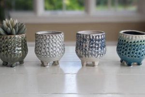 Elevate Your Home: Marshall Home & Garden Essentials | The Ultimate Gardening Guide: Grow a Thriving Garden Year-Round