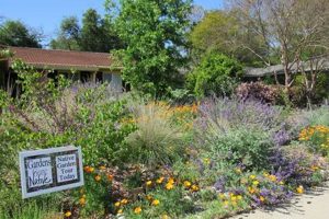 Sacramento Home & Garden: Enhance Your Local Oasis | The Ultimate Gardening Guide: Grow a Thriving Garden Year-Round