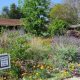 Sacramento Home & Garden: Enhance Your Local Oasis | The Ultimate Gardening Guide: Grow a Thriving Garden Year-Round