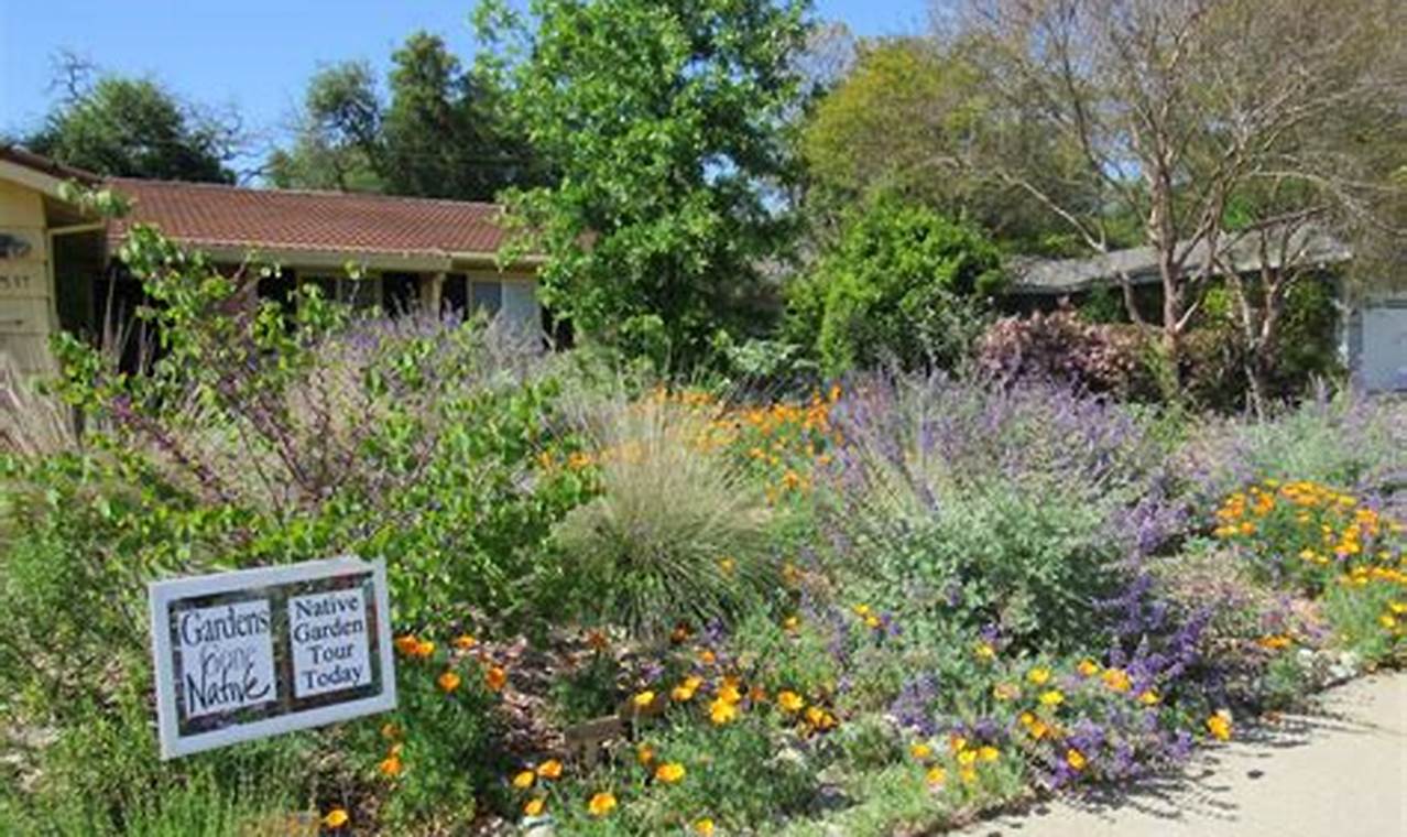 Sacramento Home & Garden: Enhance Your Local Oasis | The Ultimate Gardening Guide: Grow a Thriving Garden Year-Round