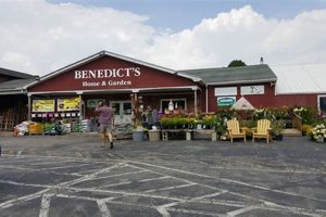 Your Dream Garden Starts Here | Benedict's Home & Garden, Monroe CT | The Ultimate Gardening Guide: Grow a Thriving Garden Year-Round