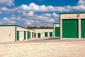 Best Storage Units in Garden City NY: [Year] Guide | The Ultimate Gardening Guide: Grow a Thriving Garden Year-Round