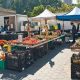 Your Guide to Garden City NY Farmers Market Finds &amp; More | The Ultimate Gardening Guide: Grow a Thriving Garden Year-Round