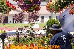 Red's Home & Garden: Vibrant Designs & Tips for Your Dream Space The Ultimate Gardening Guide: Grow a Thriving Garden Year-Round Red's Home & Garden: Vibrant Designs & Tips for Your Dream Space | The Ultimate Gardening Guide: Grow a Thriving Garden Year-Round