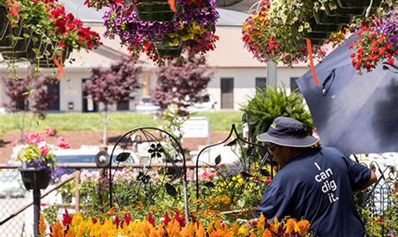 Red's Home & Garden: Vibrant Designs & Tips for Your Dream Space The Ultimate Gardening Guide: Grow a Thriving Garden Year-Round Red's Home & Garden: Vibrant Designs & Tips for Your Dream Space | The Ultimate Gardening Guide: Grow a Thriving Garden Year-Round