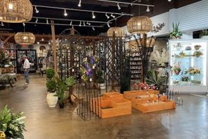 Best Jackson Home & Garden in Dallas TX: Designs & Tips | The Ultimate Gardening Guide: Grow a Thriving Garden Year-Round