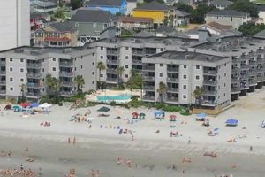 Living in Sea Master Garden City, SC: [City Guide] | The Ultimate Gardening Guide: Grow a Thriving Garden Year-Round