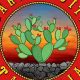 Best Garden City Taqueria: Authentic Eats! | The Ultimate Gardening Guide: Grow a Thriving Garden Year-Round