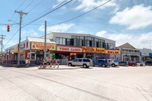 Best Pizza Near Garden City Beach SC: Find Your Slice! | The Ultimate Gardening Guide: Grow a Thriving Garden Year-Round